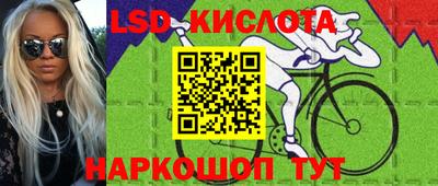 индика Заводоуковск