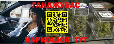 гашик Жуковский