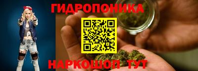 гашик Жуковский