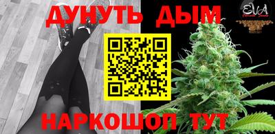 гашик Жуковский