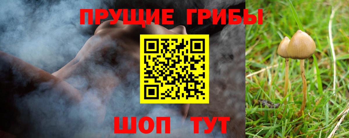 Мариинск  Галлюциногенные грибы прущие грибы  Псилоцибиновые грибы GOLDEN TEACHER  Вход с VPN 