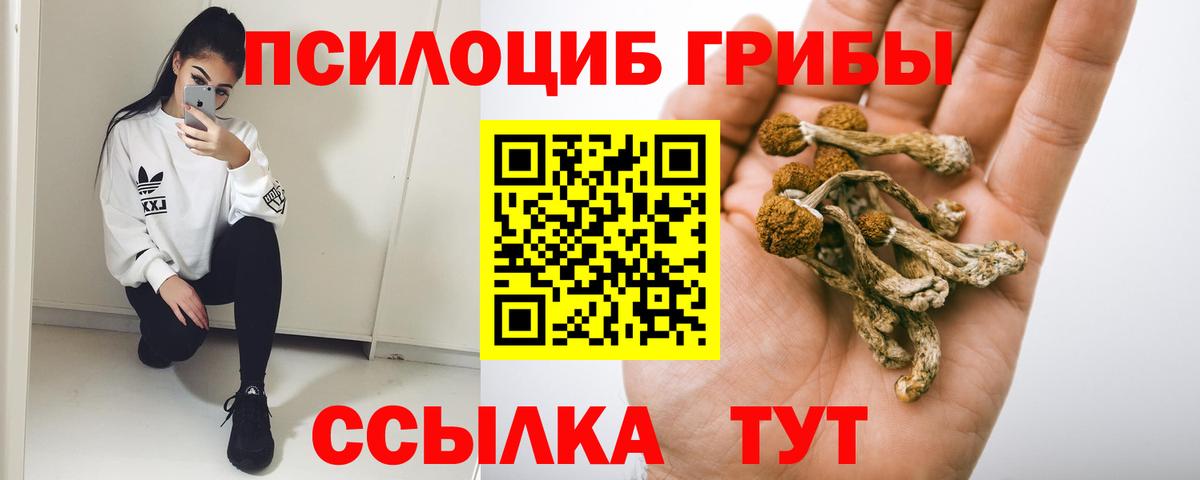 Псилоцибиновые грибы ЛСД Мариинск